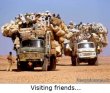 Funny pictures : Visiting friends
