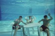 Funny pictures: Just Chillen underwater