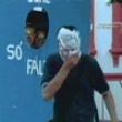 Funny videos : Pie in the face