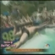 Funny videos : Who can resist a belly flop competition!?