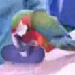 Funny videos : Awesome skateboarding parrot