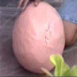 Funny videos : Silly putty physics experiment