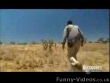 Funny videos : Bear grylls eats zebra