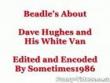 Funny videos : Beadle - white van man