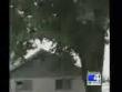 Funny videos : Bear gets stuck on roof