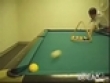 Funny videos : Pool sharks