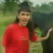 Funny videos : Horse surprise video