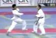 Funny videos : Cool martial arts video