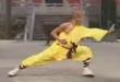 Funny videos: Kung fu fighting