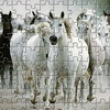 Photo puzzles : White Horse Jigsaw